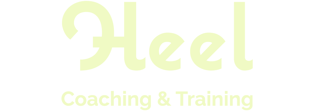 Heel Coaching en Training